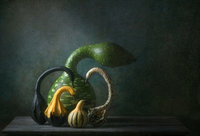 Őszi tökök csendélet alkotó: Catherine Wang