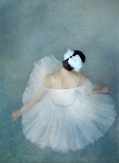Elegáns Ballerina Swan alkotó: Catherine Wang