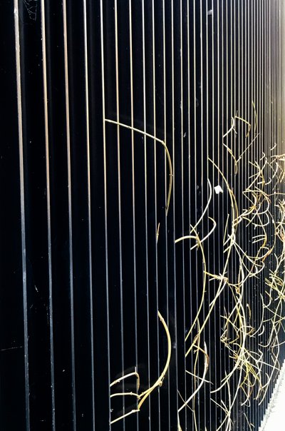 Összetétel - Street, 2020 (fotó) alkotó: Cécile Jamet