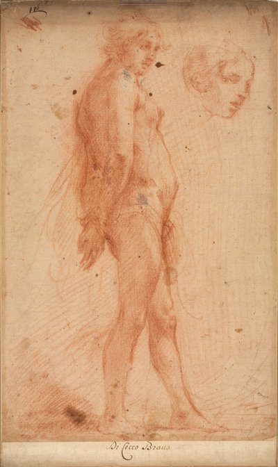 Egy álló férfi akt tanulmányozása, a fej tanulmányozása háromnegyedes profilban, c. 1640. alkotó: Cecco Bravo