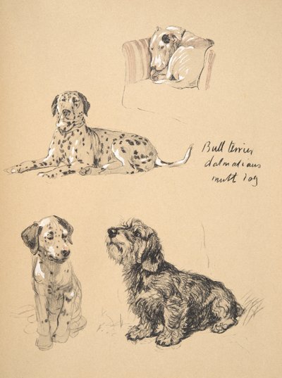 Bullterrier, Dalmaták és Mutt Dog, 1930, Illusztrációk a vázlatfüzetéből, amelyet a Csak a barátok között, Aldin, Cecil Charles Windsor (1870-1935) című könyvében használtak, később kiadta az Eyre és a Spottiswoode Limited, alkotó: Cecil Charles Windsor Aldin