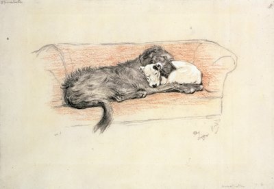 Egyeztetés; Farkaskutya és bullterrier alszik a kanapén (papíron pasztell) alkotó: Cecil Charles Windsor Aldin