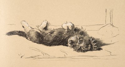 Rough Daschund Puppy Detail, 1930, Illusztrációk a vázlatfüzetéből, a Csak a barátok között, Aldin, Cecil Charles Windsor (1870-1935), később kiadó: Eyre and Spottiswoode Limited, 1934, Cha alkotó: Cecil Charles Windsor Aldin