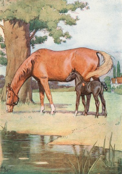 Az első hely, amire jól emlékszem, egy nagy, kellemes rét volt, tiszta vizű tóval alkotó: Cecil Charles Windsor Aldin