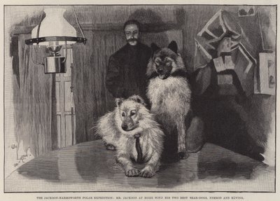 A Jackson-Harmsworth sarki expedíció, Mr Jackson otthon a két legjobb medvekutyájával, Nimróddal és Ravinggel alkotó: Cecil Charles Windsor Aldin