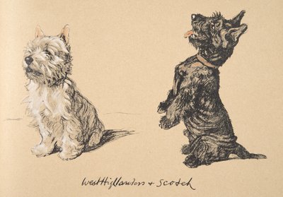 West Highlander és Scotch, 1930, Illusztrációk a „Csak a barátok között” című vázlatkönyvéből, Aldin, Cecil Charles Windsor (1870-1935), később kiadta: Eyre and Spottiswoode Limited, 1934, Ch. alkotó: Cecil Charles Windsor Aldin