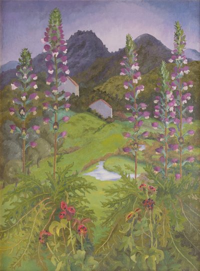 Akantusz alkotó: Cedric Morris