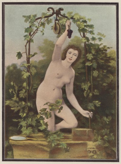 Nő szőlőt szed a szőlőből (színes litho) alkotó: Charles (after) Landelle