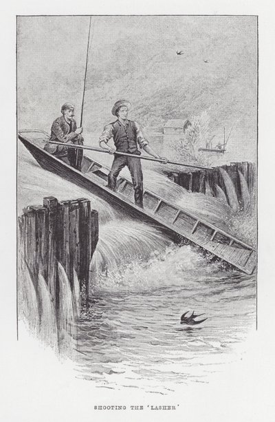Adathalászat: „hullák” lövöldözése (litho) alkotó: Charles (after) Whymper