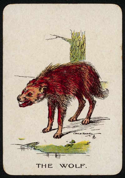 A farkas (színes litó) alkotó: Charles A. Buchel