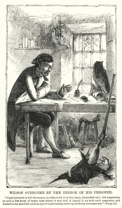 Wilsont legyőzte foglya rémülete (metszet) alkotó: Charles Altamont Doyle
