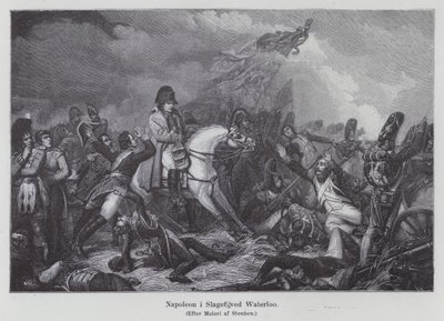 Napóleon a waterlooi csatában alkotó: Charles Auguste Steuben