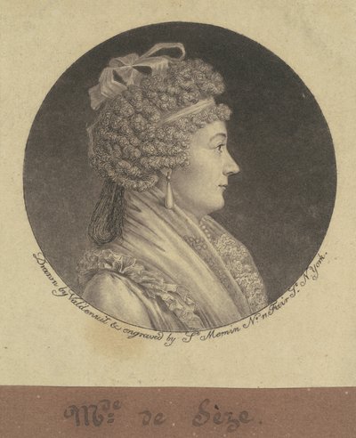 Madame Jean de Seze alkotó: Charles B. J. Févret de Saint Mémin