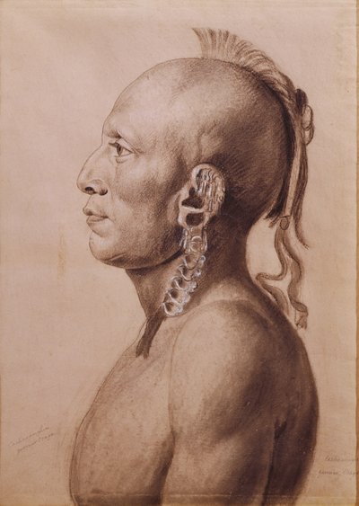 Cachasunghia, egy Osage Warrior, 1806 (ceruza és szén a papíron) alkotó: Charles Balthazar Julien Févret de Saint Mémin