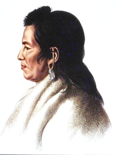 Shahaka (nagy fehér) a mandán nép főnöke (színes litó) alkotó: Charles Bird (after) King