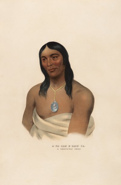 A-na-cam-e-gish-ca alkotó: Charles Bird King