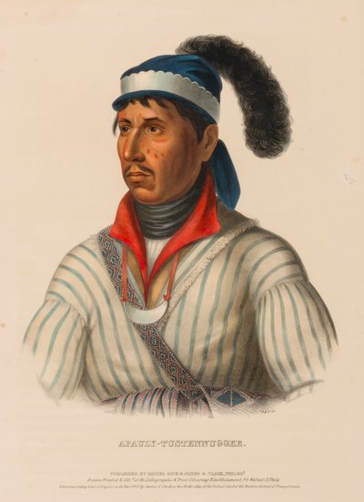 APAULY-TUSTENNUGGEE., az Észak-Amerika indián törzseinek története című könyvből alkotó: Charles Bird King