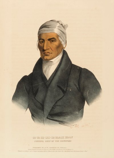 CA-TA-HE-CAS-SA-FEKETE PATA. PRINCIPAL CHIEF OF THE SHAWANOES., fromHistory of the Indian Tribes of North America (Észak-Amerika indián törzseinek története). alkotó: Charles Bird King