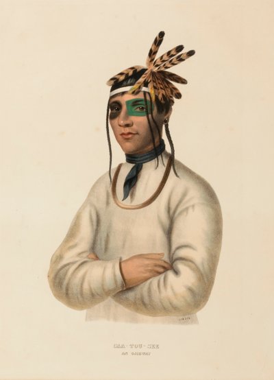 CAA-TOU-SEE. AN OJIBWAY., az Észak-Amerika indián törzseinek története című könyvből. alkotó: Charles Bird King
