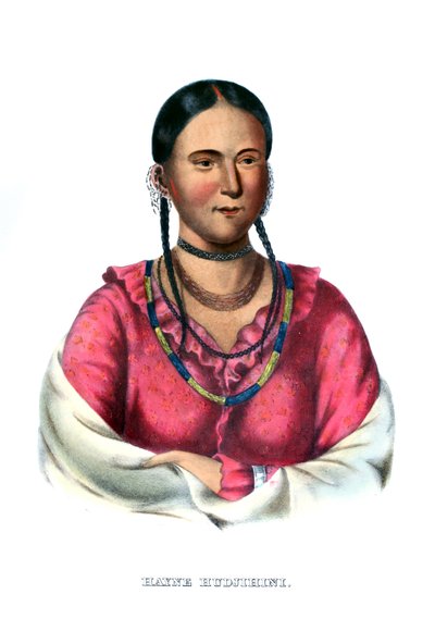 Hayne Hudjihini, avagy az öröm sasa alkotó: Charles Bird King