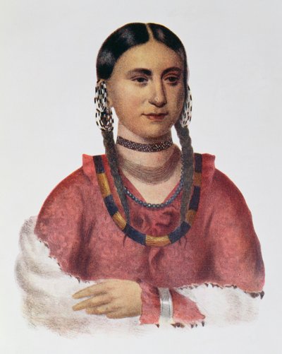 Hayne Hudjuhini avagy az „Öröm sasa”, illusztráció a „The Indian Tribes of North America, Vol.1”, Thomas L. McKenney és James Hall, pub. írta John Grant alkotó: Charles Bird King