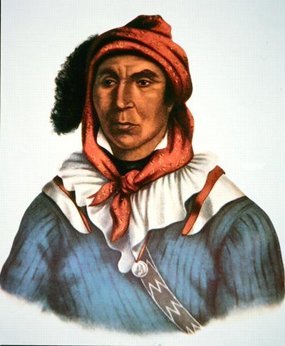 Julcee Mathla alkotó: Charles Bird King