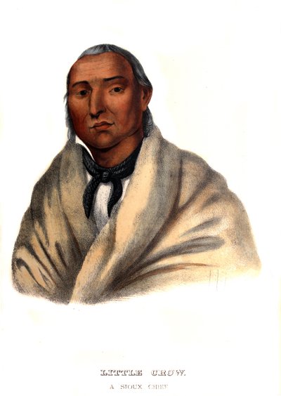 Kis Varjú, sziú főnök alkotó: Charles Bird King