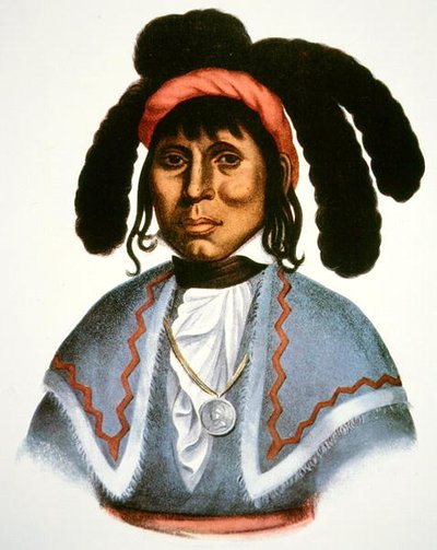 Micanopy (megh. 1849) 1826 körül (színes litó) alkotó: Charles Bird King