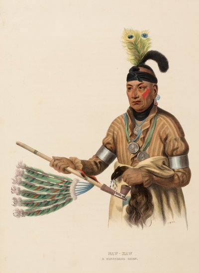 NAW-KAW. A WINNEBAGO CHIEF., az Észak-Amerika indián törzseinek története c. könyvből alkotó: Charles Bird King