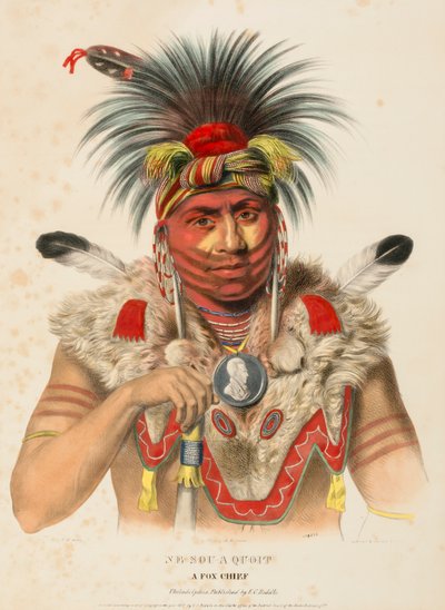 NE-SOU-A-QUOIT. A FOX CHIEF., az Észak-Amerika indián törzseinek története című könyvből. alkotó: Charles Bird King