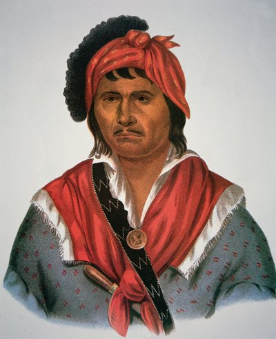 Neamathla főnök alkotó: Charles Bird King