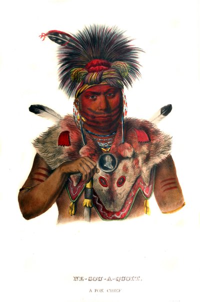 Nesouaquoit ("A medve a fa villájában") alkotó: Charles Bird King