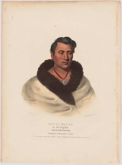 Ong-pa-ton-ga alkotó: Charles Bird King