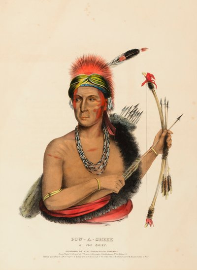POW-A-SHEEK. A FOX CHIEF. alkotó: Charles Bird King
