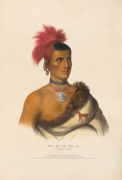 Pes-ke-le-cha-co - Egy pawnee törzsfőnök alkotó: Charles Bird King