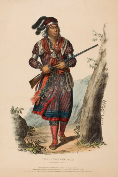 TUKO-SEE-MATHLA. A SEMINOLE CHIEF., az Észak-Amerika indián törzseinek története című könyvből. alkotó: Charles Bird King