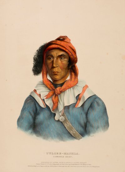 TULCEE-MATHLA. A SEMINOLE CHIEF., from History of the Indian Tribesof North America. alkotó: Charles Bird King