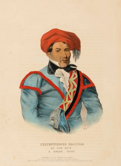 TUSTENNUGGEE EMATHLA, az Észak-Amerika indián törzseinek történetéből alkotó: Charles Bird King