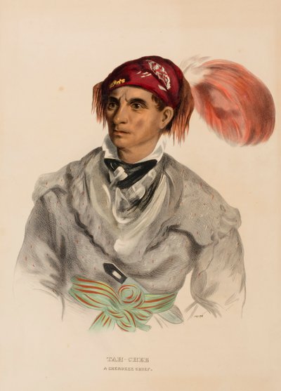 Tah-Chee (holland), egy cseroki törzsfőnök, az Észak-Amerika indián törzseinek története című könyvből. alkotó: Charles Bird King