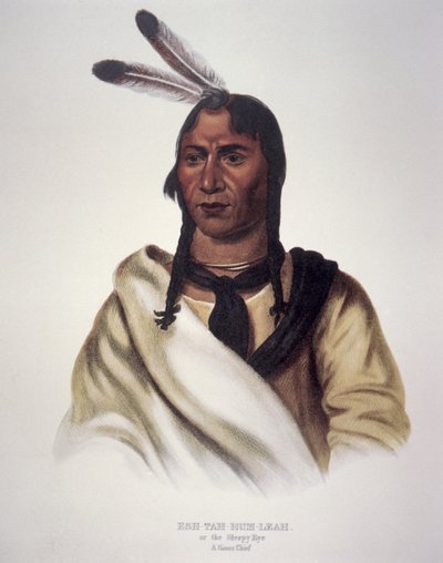 "Az álmos szem" alkotó: Charles Bird King