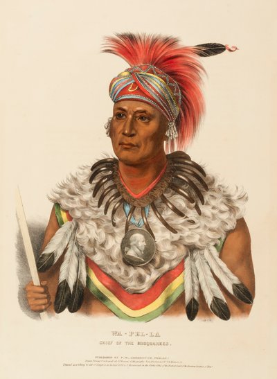 WA-PEL-LA. A MUSQUAKEES FŐNÖKE, az Észak-Amerika indián törzseinek története című könyvből. alkotó: Charles Bird King