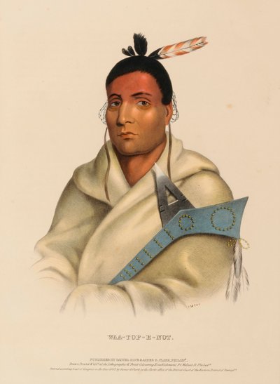 WAA-TOP-E-NOT., az Észak-Amerika indián törzseinek története című könyvből. alkotó: Charles Bird King