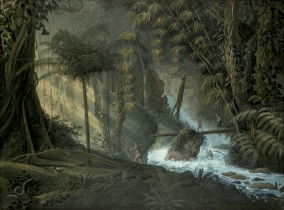 Brazil erdő alkotó: Charles Comte de Clarac