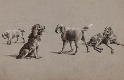 Tanulmányok kutyákról (toll, ecset, tinta és gouache papíron) alkotó: Charles Cooper Henderson