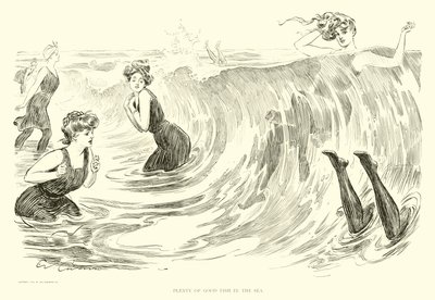 Illusztráció: The Social Ladder (metszet) alkotó: Charles Dana Gibson