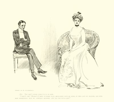 Illusztráció: A társadalmi létra alkotó: Charles Dana Gibson