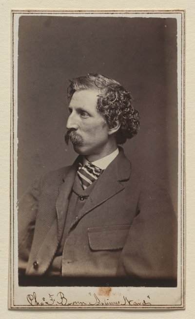 Charles Farrar Browne alkotó: Charles DeForest Fredricks