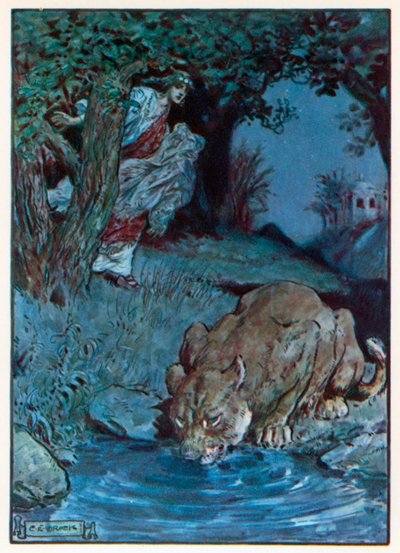 "Egy nem szívesen látott teremtmény" (színes litográfia) alkotó: Charles Edmund (after) Brock