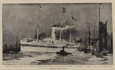 Amerikai segélyszolgálat a sebesülteknek, a Maine kórházhajó Gravesend mellett fekszik alkotó: Charles Edward Dixon