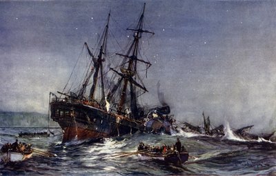 A Birkenhead roncsa, 1852 alkotó: Charles Edward Dixon